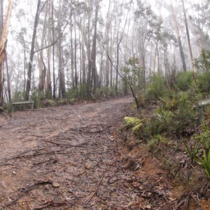 The junction with fog and snow falling