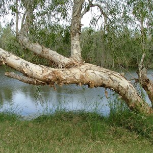 Coongan pool