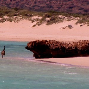 Osprey Bay