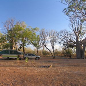 Leafless boabs and empty campground Sept 05