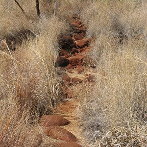 2005 walking track down to gorge