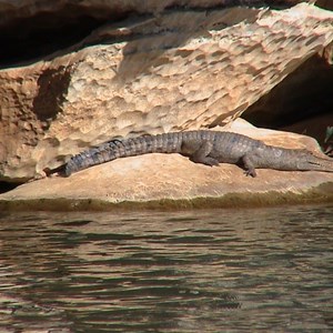 Geikie Gorge