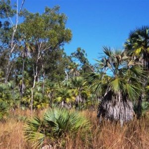 Mitchell Falls Campsites & Carpark