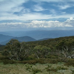 Mount Pinnibar