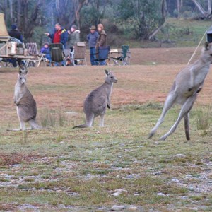 Tom Groggin Camping Area