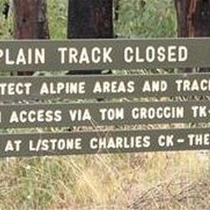 Davies Plain Track