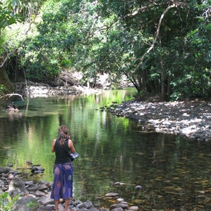 Emmagen Creek, Bloomfield Track