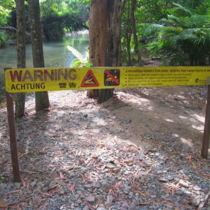 Crocodile warning sign