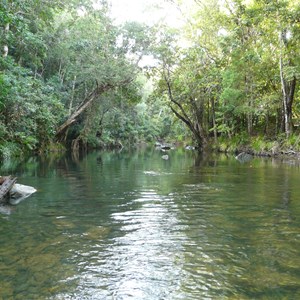 Woobadda Creek, Bloomfield Track