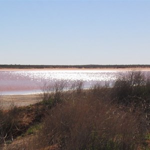 Looking over Lake Caroline