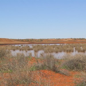 Looking over Lake Caroline