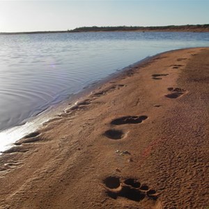 Looking over Lake Caroline