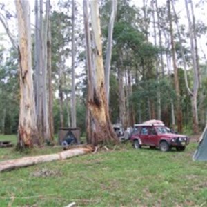 Poplars Reserve (Loch Valley) Campsites