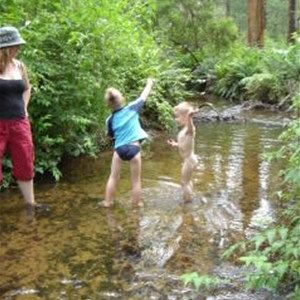 Poplars Reserve (Loch Valley) Campsites