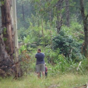 Poplars Reserve (Loch Valley) Campsites