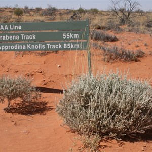 WAA Line & Colson Track