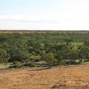 Emerald green swale in May 09