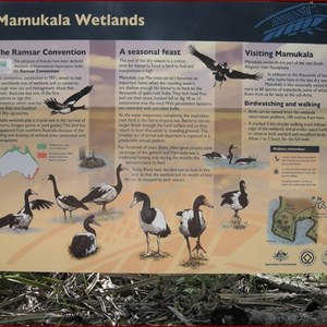 Mamukala Wetlands and Bird Hide