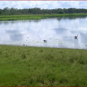 Mamukala Wetlands and Bird Hide