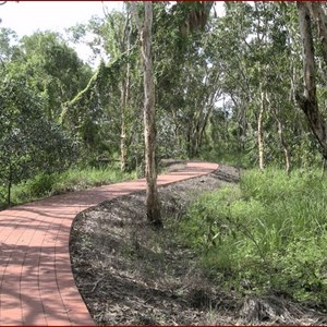 Mamukala Wetlands and Bird Hide