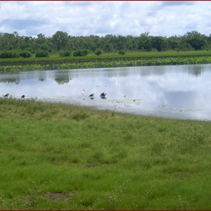 Mamukala Wetlands and Bird Hide