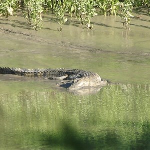 Cahills Crossing