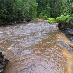 Ring River Crossing