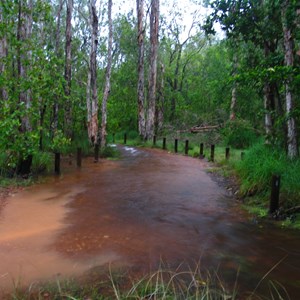 Robin Falls Camping Area