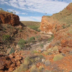 Ormiston Gorge