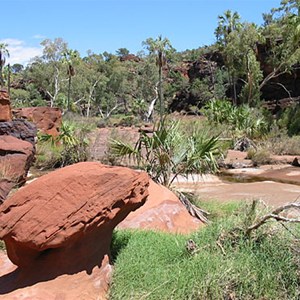 Palm Valley (Mpulungkinya)