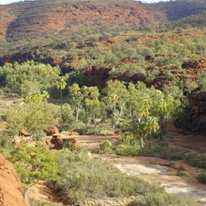 Palm Valley (Mpulungkinya)