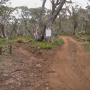 Bluff Tk & King Billy Tk & Brocks Rd