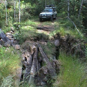 King Billy Tk (Collapsed Log Bridge)