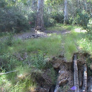 King Billy Tk (Collapsed Log Bridge)