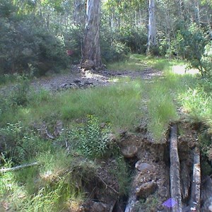 King Billy Tk (Collapsed Log Bridge)