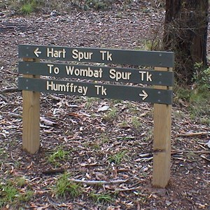 Hart Spur Tk & Humffray Tk & Wombat Spur Tk
