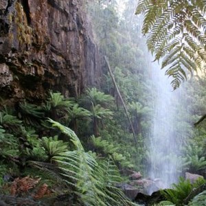 Bindaree Falls