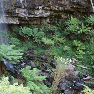 Bindaree Falls