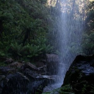 Bindaree Falls