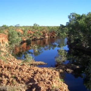 Duck Pool