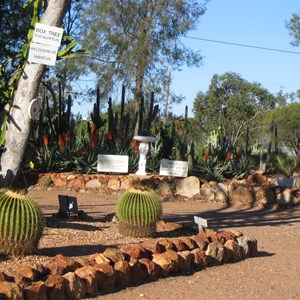 Lightning Ridge