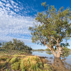 Bourke