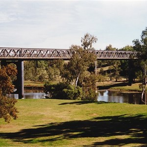 Bingara