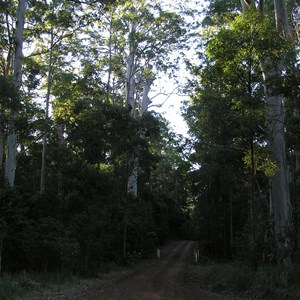 Richmond Range