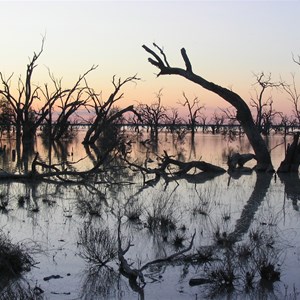 Menindee Lakes Park