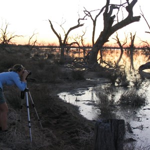 Menindee Lakes Park