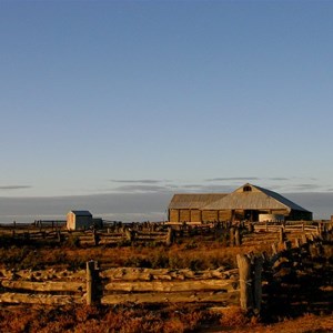 Mungo Woolshed