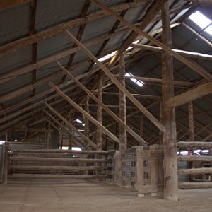 Mungo Woolshed