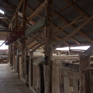 Mungo Woolshed