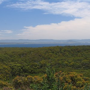 Beecroft Head